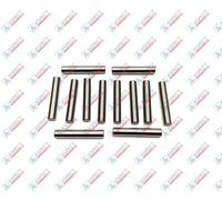Pin pressa blocco cilindro Kawasaki M2X210 0365409 Set di 12 pezzi