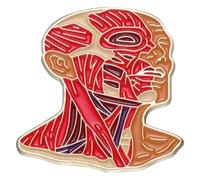 Pin smalto: cuore, polmoni, intestino, cervello e sistema nervoso spilla, Klein, Metallo non prezioso