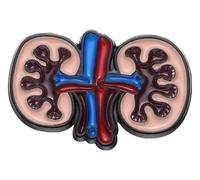 Pin smalto: cuore, polmoni, intestino, cervello e sistema nervoso spilla, Klein, Metallo non prezioso
