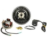 PINASCO FLYTECH KIT ACCENSIONE ELETTRONICA 12V VOLANO 1,5 KG CONO 20 ANTICIPO VARIABILE PIAGGIO APE 50 CON AVVIAMENTO ELETTRICO MODIFICA 125cc Art. 25356857