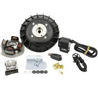 PINASCO FLYTECH KIT ACCENSIONE ELETTRONICA 12V VOLANO 1,6 KG CONO 17 ANTICIPO VARIABILE PIAGGIO VESPA VINTAGE 125 150 VBB VNB TS GL GT GTR SPRINT VELOCE SUPER Art. 25356838