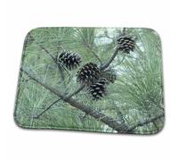 Pine Cones Wildlife N Nature Flowers Zerbino Ingresso Trappola Sporco Tappeto Entrata Assorbente Tappeti Da Bagno Per Corridoio Cucina Doccia 40X60 Cm