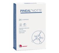 PINEAL NOTTE 24CPR