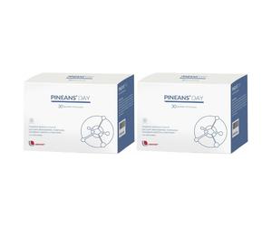 PINEANS® Day 2x54 g Polvere per soluzione orale