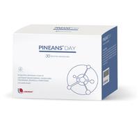 PINEANS® Day 54 g polvere per la preparazione di una soluzione
