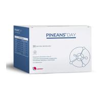 PINEANS® Day 54 g polvere per la preparazione di una soluzione