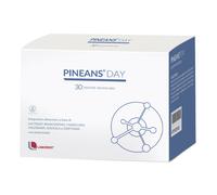 PINEANS® Day 54 g polvere per la preparazione di una soluzione
