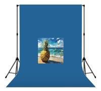 Pineapple By The Seaprint - Sfondo fotografico versatile in tessuto per studio di nozze, feste all'aperto