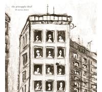 Pineapple Thief 10 Stories Down (20th Anniversary Edition) (Vinyl LP)