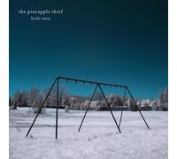 The Pineapple Thief Little Man (Vinyl LP) 12" Album