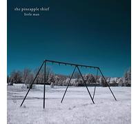 The Pineapple Thief Little Man (Vinyl LP) 12" Remastered Album
