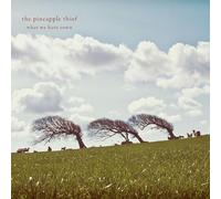 The Pineapple Thief What We Have Sown (CD) Album
