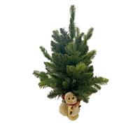 Pinetto con Scoiattolo Trudi cm. 45 Edizione Limitata