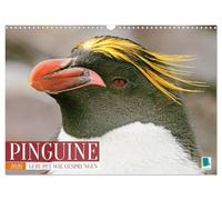 Pinguine: Gehupft wie gesprungen (Wandkalender 2026 DIN A3 quer), CALVENDO Monatskalender: Pinguine: laden zum Schmunzeln und Lachen ein