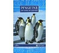 Pinguine - Kaiser der Antarktis