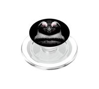 Pinguino africano faccia mare uccello natura natura pinguino PopSockets PopGrip per MagSafe