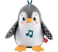 Fisher-price - pinguino dolci coccole, peluche sensoriale con musica e ali che si muovono, per il gioco interattivo da distesi sul pancino, 0+ anni, hnc10