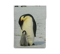 Pinguino madre e pinguino cucciolo, Custodia per laptop in pelle PU, borsa per notebook, custodia per laptop, custodia per tablet