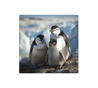 Pinguino Parents and Chicks Antartide Grandi Piastre da Parete Decorative Copertura Interruttore Luce 2 Gang Coperture Placca Elettrica Copertura Termoplastica Frontale per Dispositivo Decoratore