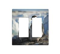 Pinguino Parents and Chicks Antartide Grandi Piastre da Parete Decorative Copertura Interruttore Luce 2 Gang Coperture Placca Elettrica Copertura Termoplastica Frontale per Dispositivo Decoratore