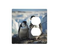 Pinguino Parents and Chicks Antartide Grandi Piastre da Parete Decorative Copertura Interruttore Luce 2 Gang Coperture Placca Elettrica Copertura Termoplastica Frontale per Dispositivo Decoratore