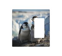 Pinguino Parents and Chicks Antartide Grandi Piastre da Parete Decorative Copertura Interruttore Luce 2 Gang Coperture Placca Elettrica Copertura Termoplastica Frontale per Dispositivo Decoratore