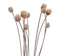 Pinicecore 20 Pc/Insieme Diffusore Sticks di Ricambio Rattan Flower Bud Rose Sticks Refill Rattan per Diffusore di Oli Essenziali per La Casa Camera Letto Bagno