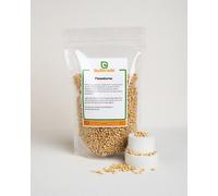 Pinienkerne Buxtrade Grado A1 Raffinati Fini Aromatici 100 g