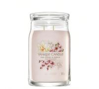 Pink Cherry & Vanilla Signature Large Jar Candle 567 g vetro
