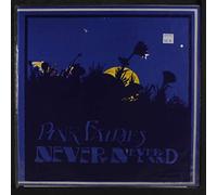 PINK FAIRIES - never never land