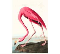 Pink Flamingo Bird Notebook; 6x9 Journal Diary 120 Lined pages; Classic art