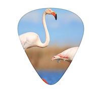 Pink Flamingo in Water Plettri per chitarra stampati in acqua Plettri per chitarra personalizzata 12 Pz per chitarra acustica Chitarra elettrica e basso Bulk Guitar Pick Taglia unica