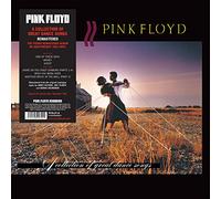 PINK FLOYD - A COLLECTION OF GREAT DANCE SONGS LP