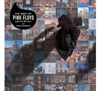 Pink Floyd The Best of Pink Floyd: A Foot in the Door (Vinyl LP)