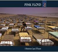 Audio Cd Pink Floyd - A Momentary Lapse Of Reason