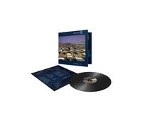 Pink Floyd Momentary Lapse Of Reason (Vinyl LP) 12" Album (PRESALE 27/06/2025)