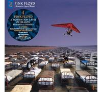 Pink Floyd A Momentary Lapse of Reason (2019 Remix) (Vinyl LP) 12" Album