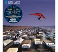 Pink Floyd - A Momentary Lapse Of Reason (Remastered) (2 LP)