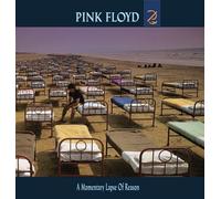 Pink Floyd Momentary Lapse Of Reason (Vinyl LP) 12" Album (PRESALE 27/06/2025)