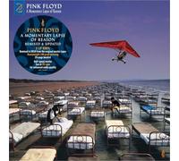 Pink Floyd - A Momentary Lapse Of Reason (Remixed & Updated) (180g) (Reissue) (2 LP)