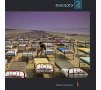 Pink Floyd - A Momentary Lapse Of Reason - Vinile