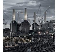 Pink Floyd Animals (2018 Remix) (Vinyl LP)