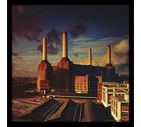 Pink Floyd Animals - Copertina per album, 30,5 cm, in MDF, multicolore, 32 x 32 x 1,5 cm