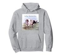 PINK FLOYD ATOM HEART MOTHER Felpa con Cappuccio