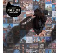 Pink Floyd The Best of Pink Floyd: A Foot in the Door (Vinyl LP)