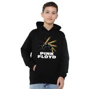 Pink Floyd Dark Side Of The Moon Table Prism Felpa con Cappuccio Erica (TV21983)