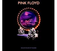 Pink Floyd - Delicate Sound Of Thunder (180g) (3 LP)