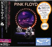 Pink Floyd - Delicate Sound Of Thunder - 2 Cd