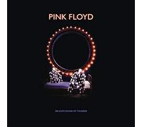 Pink Floyd Delicate Sound Of Thunder Deluxe (CD)