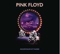 Pink Floyd - Delicate Sound Of Thunder